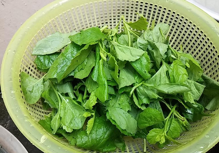Rau cải trời, thứ rau dại thủa nghèo hàn vi nay một bước ngự thực đơn nhà hàng thành &quot;rau quý tộc&quot; - Ảnh 2.