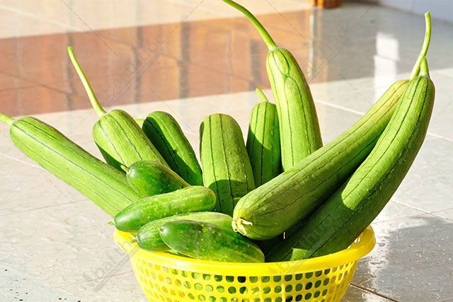 Loại quả được ví như &quot;nhân sâm&quot; trong vườn, đem lại nhiều công dụng cho sức khỏe. - Ảnh 1.