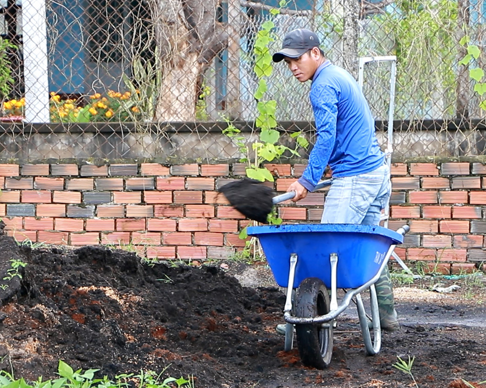 TP.HCM: Tăng cường quản lý nhà nước về nông nghiệp hữu cơ - Ảnh 1.