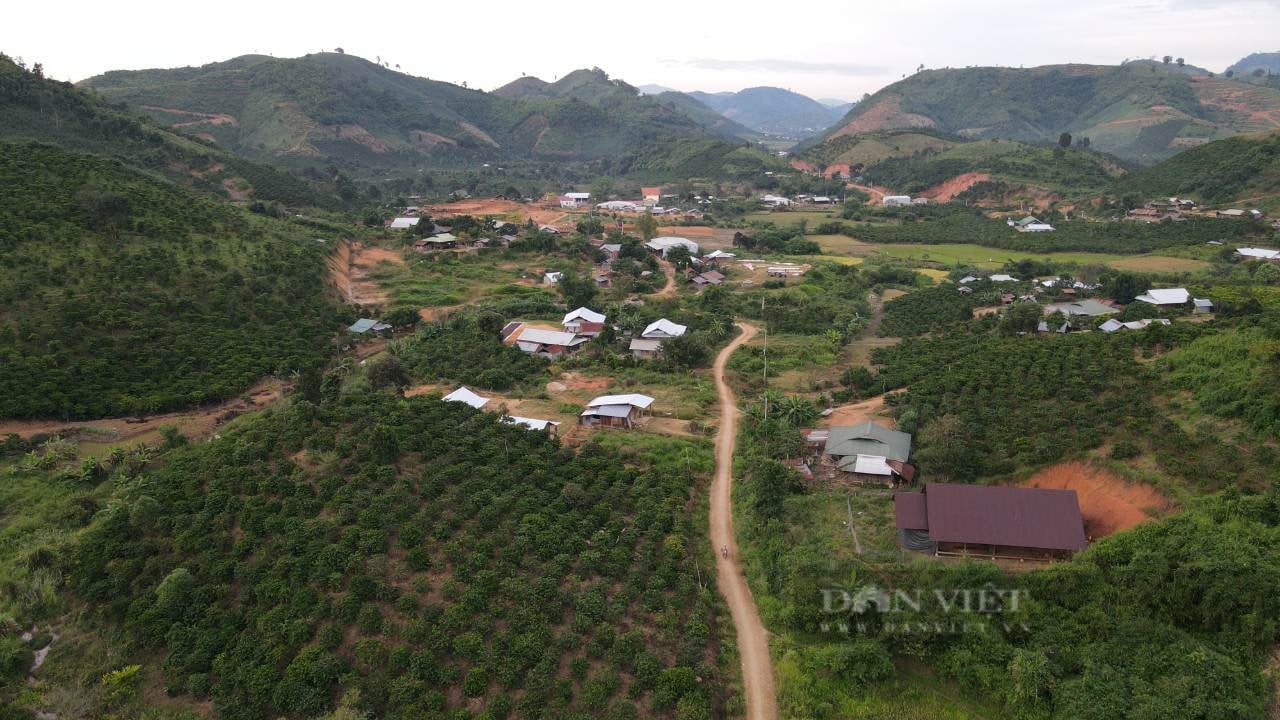 Bộ NNPTNT đặt mục tiêu đến năm 2025, hỗ trợ hơn 16.000 hộ di dân tự do ổn định cuộc sống - Ảnh 3.