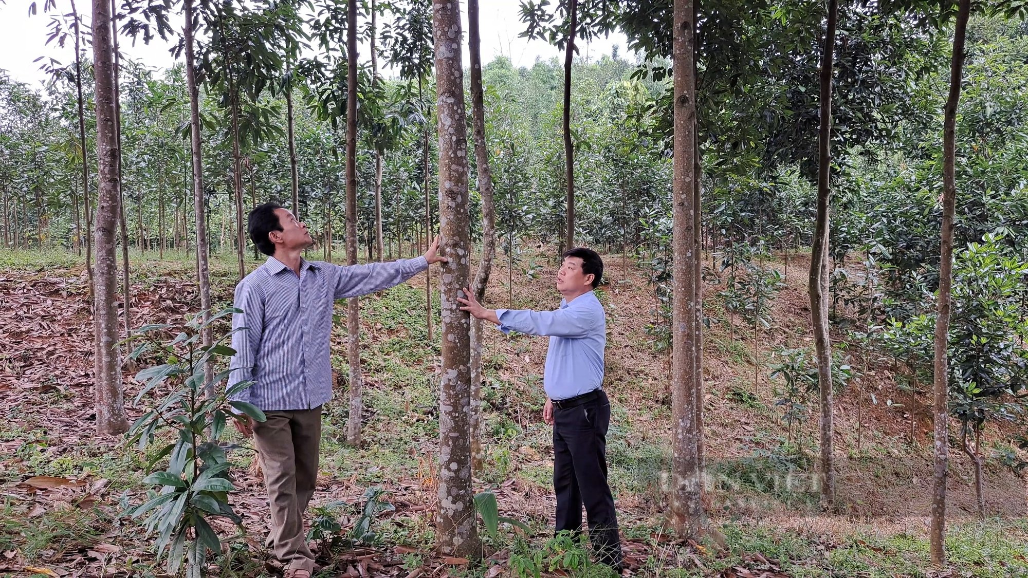 Xã nghèo Lào Cai  “ vượt khó” xây dựng nông thôn mới - Ảnh 4.