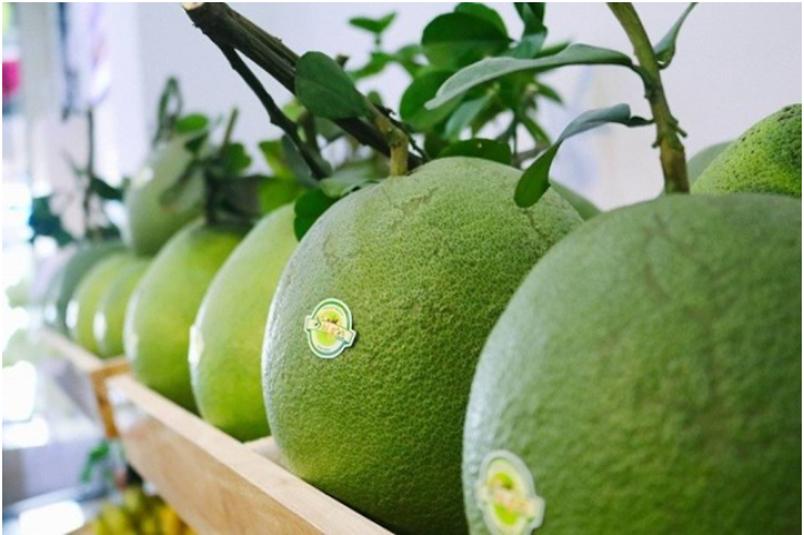 Xuất khẩu lô bưởi đầu tiên của Việt Nam sang Hoa Kỳ - Ảnh 1. Xuất khẩu lô bưởi đầu tiên của Việt Nam sang Hoa Kỳ - Ảnh 1.
