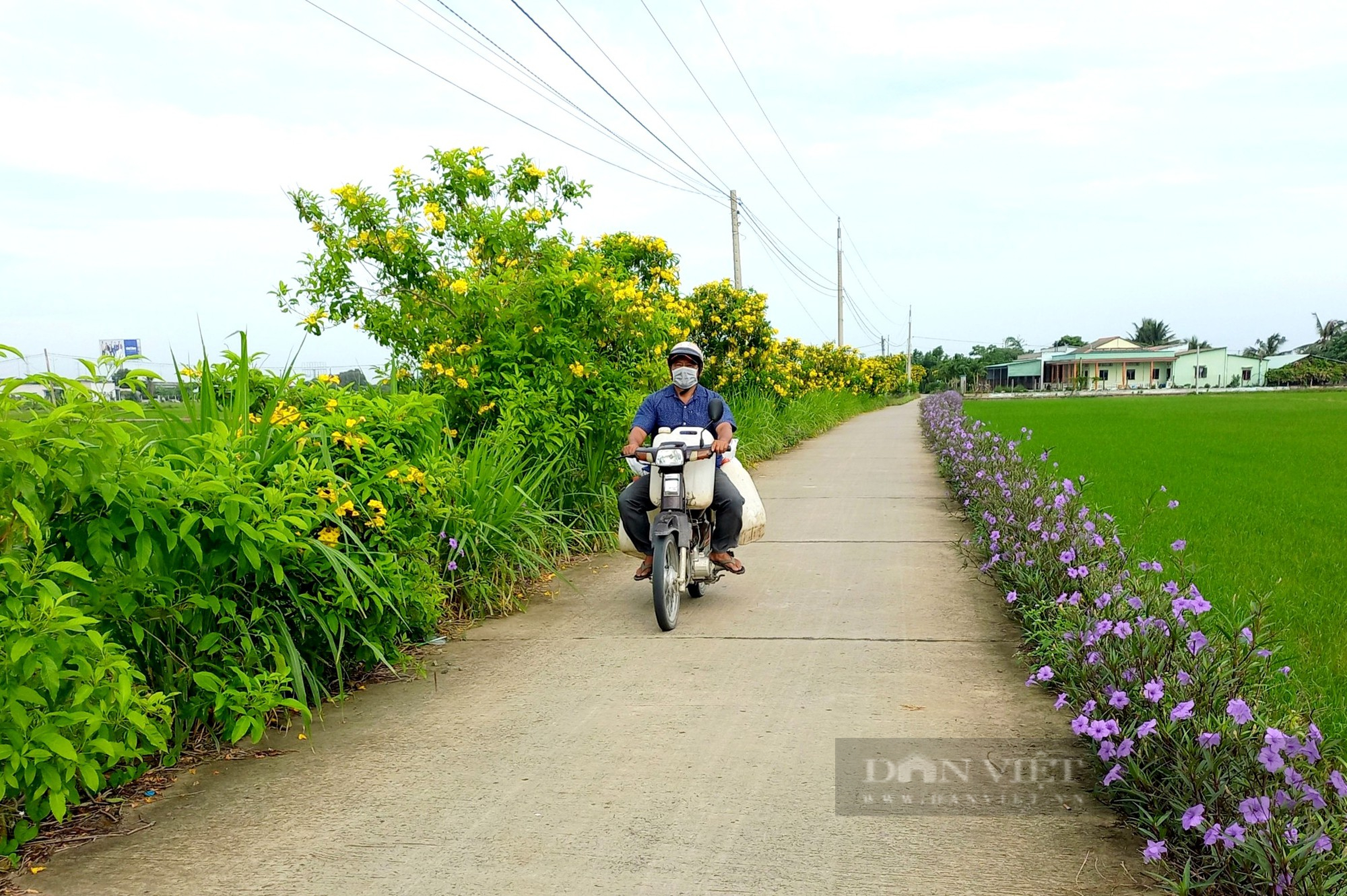 Long An xây dựng ấp nông thôn mới để người dân đều được hạnh phúc  - Ảnh 3.