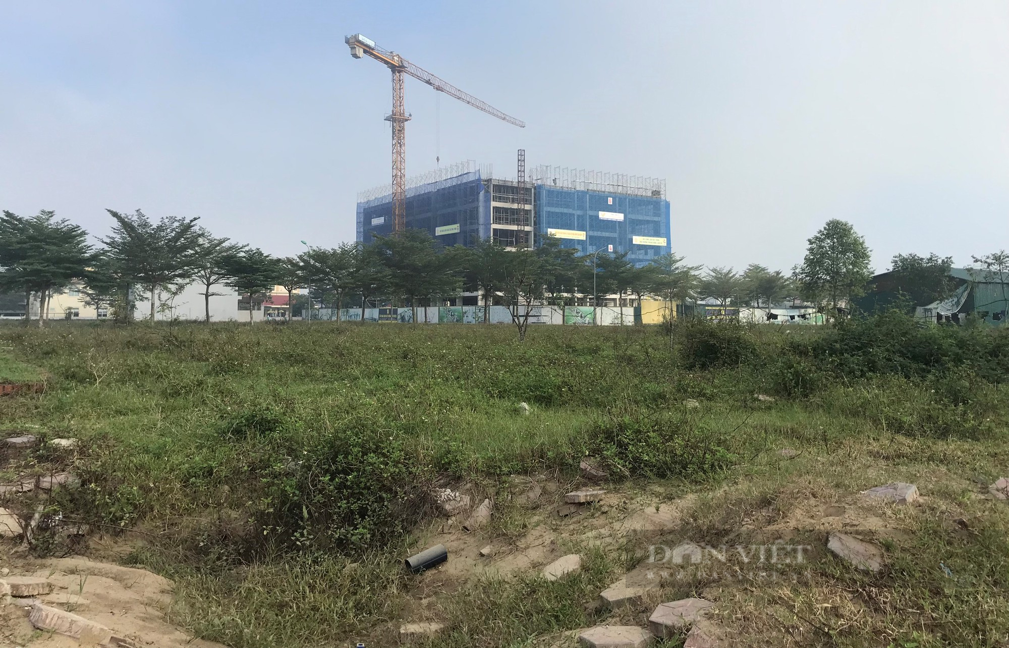 Tập đoàn Tecco có tới 4 dự án khủng ở Nghệ An vi phạm pháp luật đất đai thông qua các công ty thành viên - Ảnh 1.