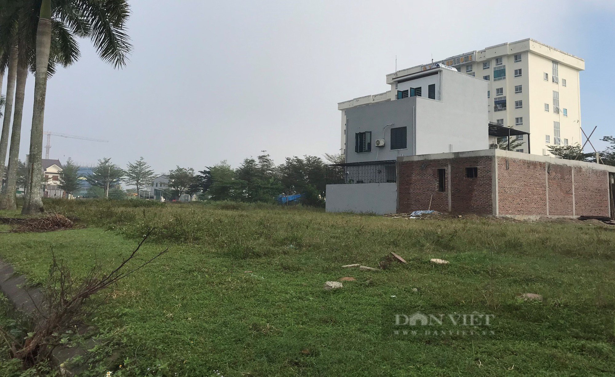 Tập đoàn Tecco có tới 4 dự án khủng ở Nghệ An vi phạm pháp luật đất đai thông qua các công ty thành viên - Ảnh 2.