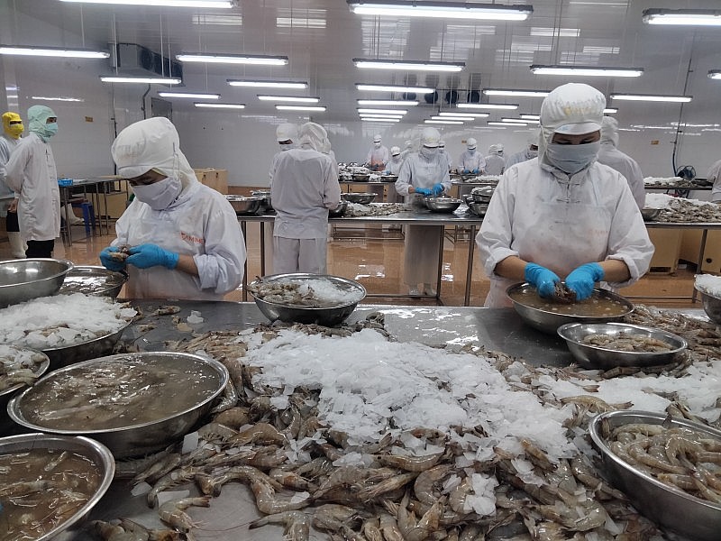 Chiến lược “xanh hóa” ngành thủy sản xuất khẩu - Ảnh 1. Chiến lược “xanh hóa” ngành thủy sản xuất khẩu - Ảnh 1.