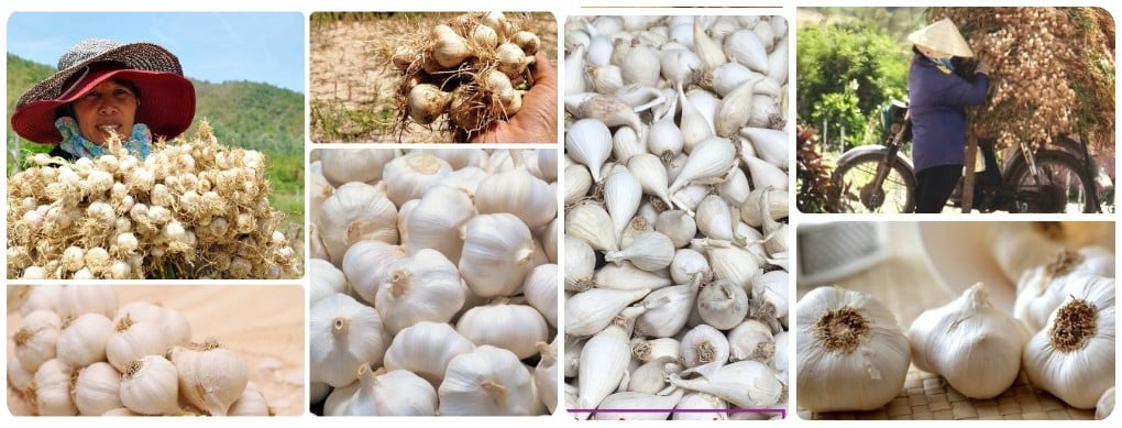 Đặc sản Việt Nam xác lập Kỷ lục châu Á &quot;gọi tên&quot; những đặc sản, món ăn nào? - Ảnh 8.