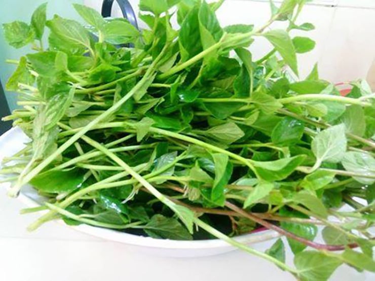 Loại rau dại bất ngờ có giá cao, được lùng mua vì vừa ngon vừa chữa được nhiều bệnh - Ảnh 11.