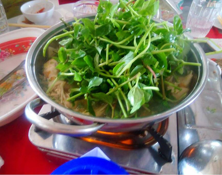 Loại rau dại bất ngờ có giá cao, được lùng mua vì vừa ngon vừa chữa được nhiều bệnh - Ảnh 5.