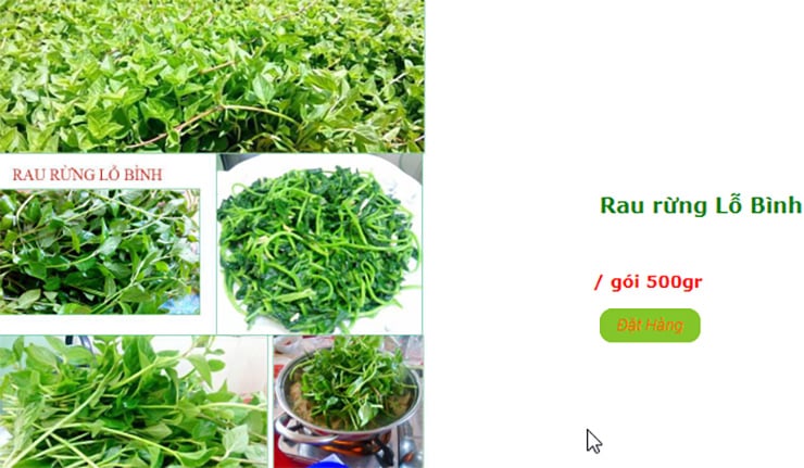 Loại rau dại bất ngờ có giá cao, được lùng mua vì vừa ngon vừa chữa được nhiều bệnh - Ảnh 7.