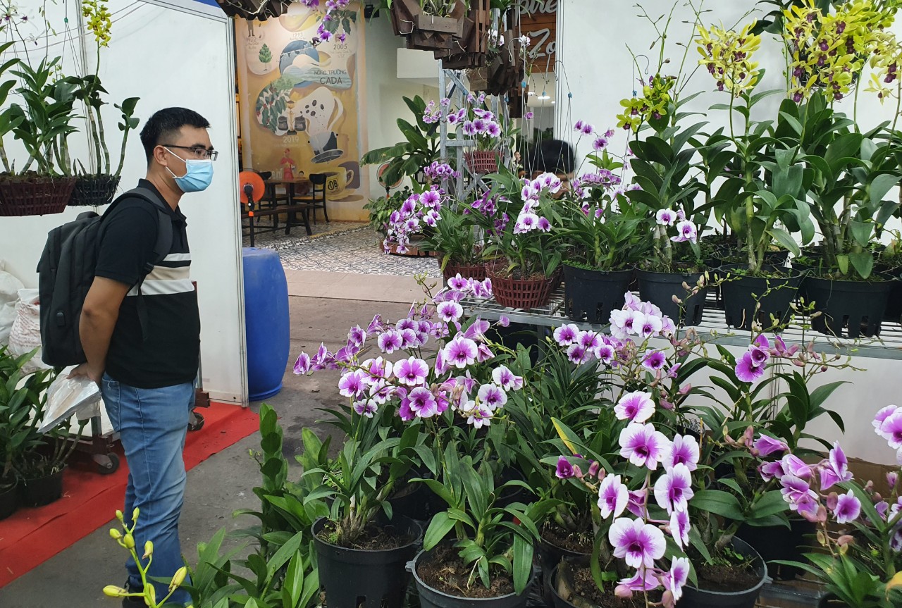Đề xuất hỗ trợ tối đa 6 sản phẩm nông nghiệp chủ lực, tạo sức bật cho nông nghiệp đô thị TP.HCM - Ảnh 3.