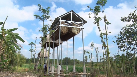 Dựng lều lênh khênh như nhà thổ dân để nuôi loài thú bay đêm sợ rắn, anh nông dân Đồng Nai phát tài, phát lộc - Ảnh 2.