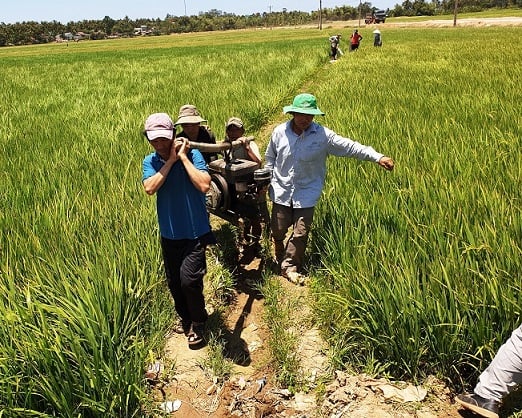 Điều chỉnh đầu tư công vốn ngân sách tại một số dự án và 3 địa phương - Ảnh 1.