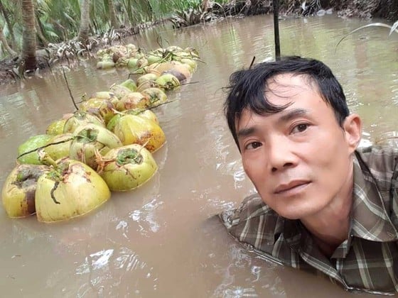 Những điều ít biết về giá trị kinh tế của loài cây đặc trưng của Bến Tre - Ảnh 3. Những điều ít biết về giá trị kinh tế của loài cây đặc trưng của Bến Tre - Ảnh 3.