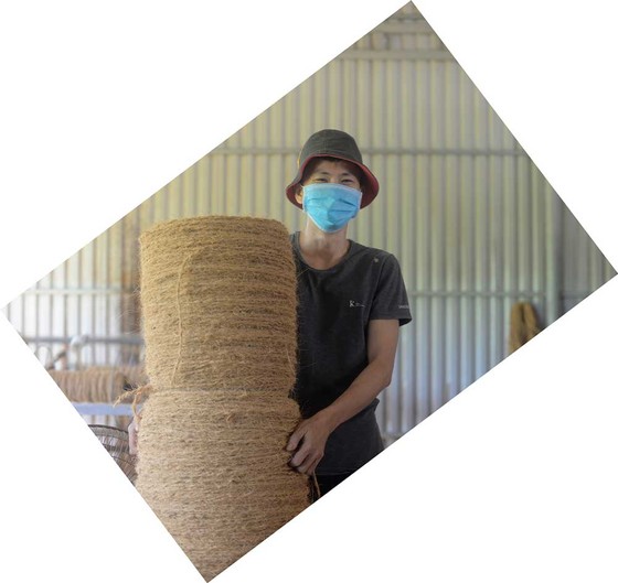 Những điều ít biết về giá trị kinh tế của loài cây đặc trưng của Bến Tre - Ảnh 6. Những điều ít biết về giá trị kinh tế của loài cây đặc trưng của Bến Tre - Ảnh 6.