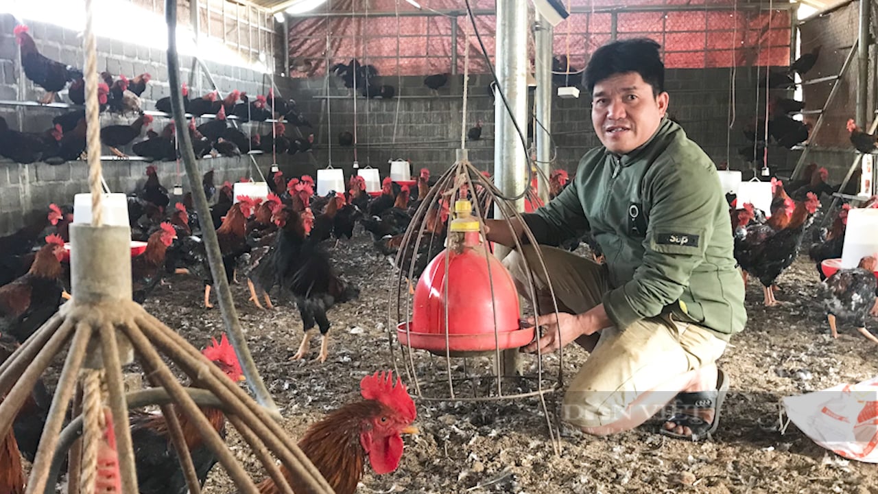 Sơn La: Đẩy mạnh tư vấn, hỗ trợ, đào tạo nghề cho nông dân - Ảnh 4.