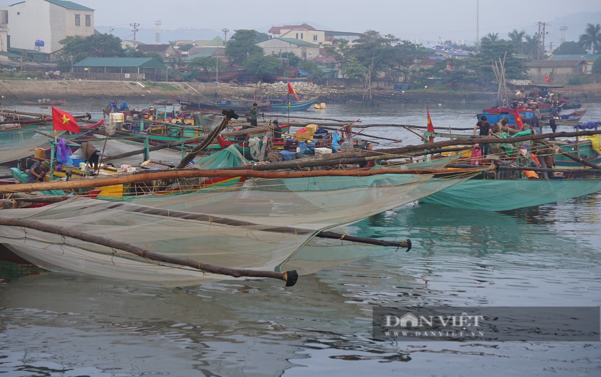 Cảnh những con thuyền đầy ắp ruốc biển cập bến, mỗi bình minh ngư dân kiếm hàng chục triệu đồng - Ảnh 6.