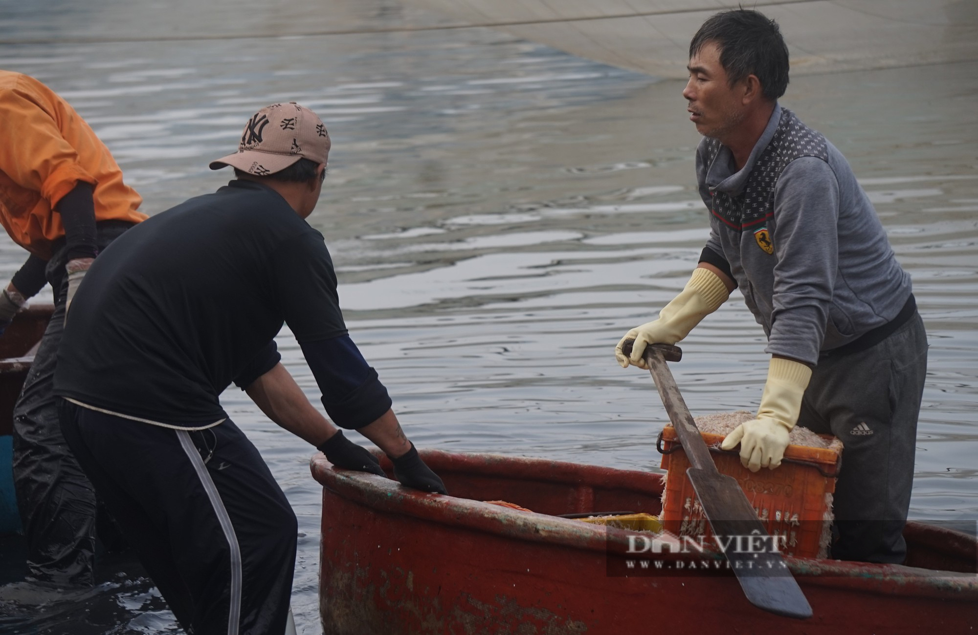 Cảnh những con thuyền đầy ắp ruốc biển cập bến, mỗi bình minh ngư dân kiếm hàng chục triệu đồng - Ảnh 12.
