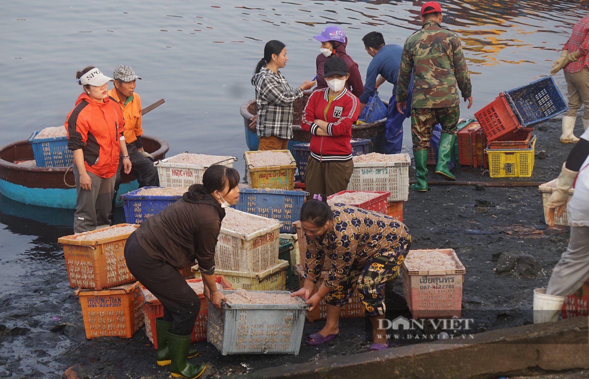 Cảnh những con thuyền đầy ắp ruốc biển cập bến, mỗi bình minh ngư dân kiếm hàng chục triệu đồng - Ảnh 25.