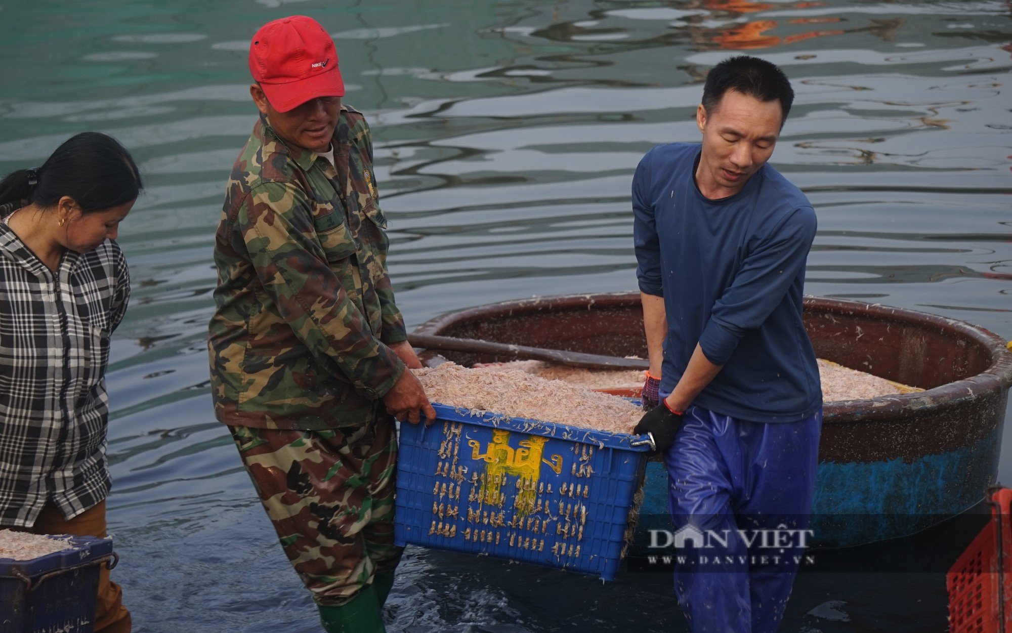 Cảnh những con thuyền đầy ắp ruốc biển cập bến, mỗi bình minh ngư dân kiếm hàng chục triệu đồng - Ảnh 14.