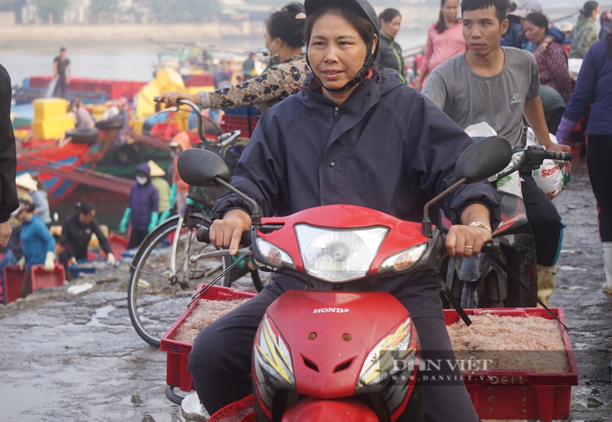 Cảnh những con thuyền đầy ắp ruốc biển cập bến, mỗi bình minh ngư dân kiếm hàng chục triệu đồng - Ảnh 24.