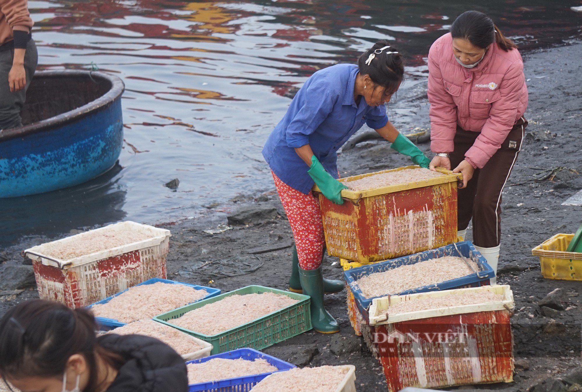 Cảnh những con thuyền đầy ắp ruốc biển cập bến, mỗi bình minh ngư dân kiếm hàng chục triệu đồng - Ảnh 21.