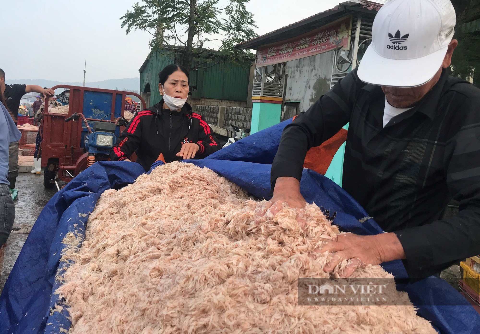 Cảnh những con thuyền đầy ắp ruốc biển cập bến, mỗi bình minh ngư dân kiếm hàng chục triệu đồng - Ảnh 19.