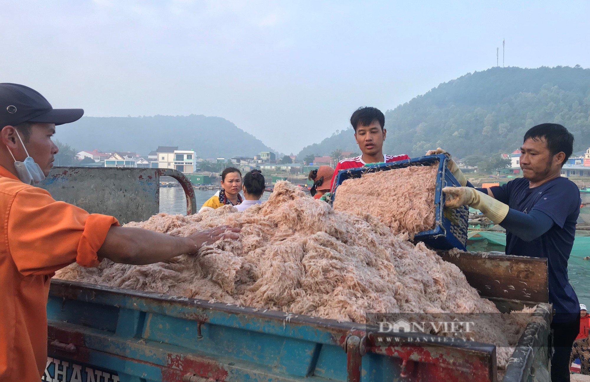 Cảnh những con thuyền đầy ắp ruốc biển cập bến, mỗi bình minh ngư dân kiếm hàng chục triệu đồng - Ảnh 20.