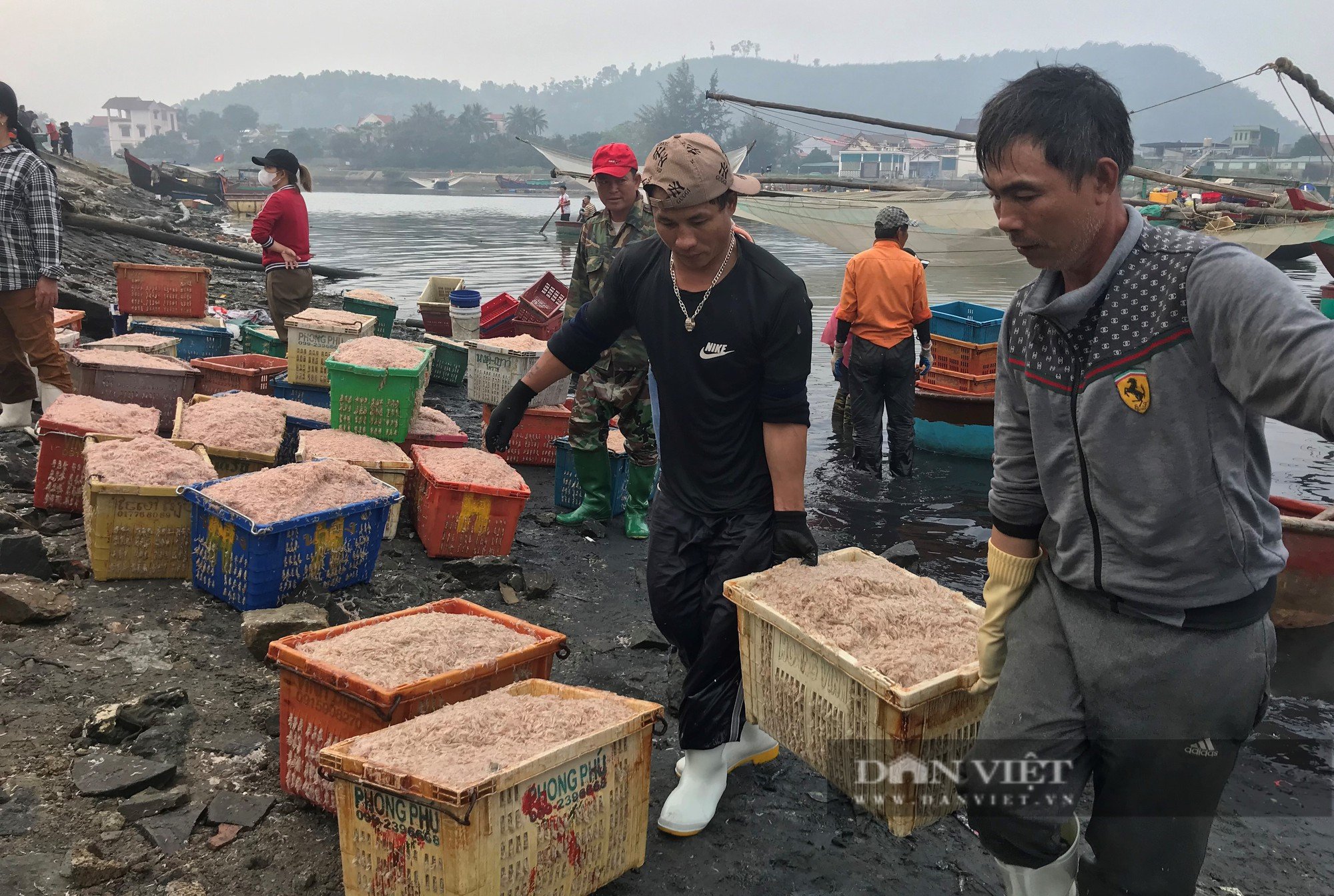 Cảnh những con thuyền đầy ắp ruốc biển cập bến, mỗi bình minh ngư dân kiếm hàng chục triệu đồng - Ảnh 16.