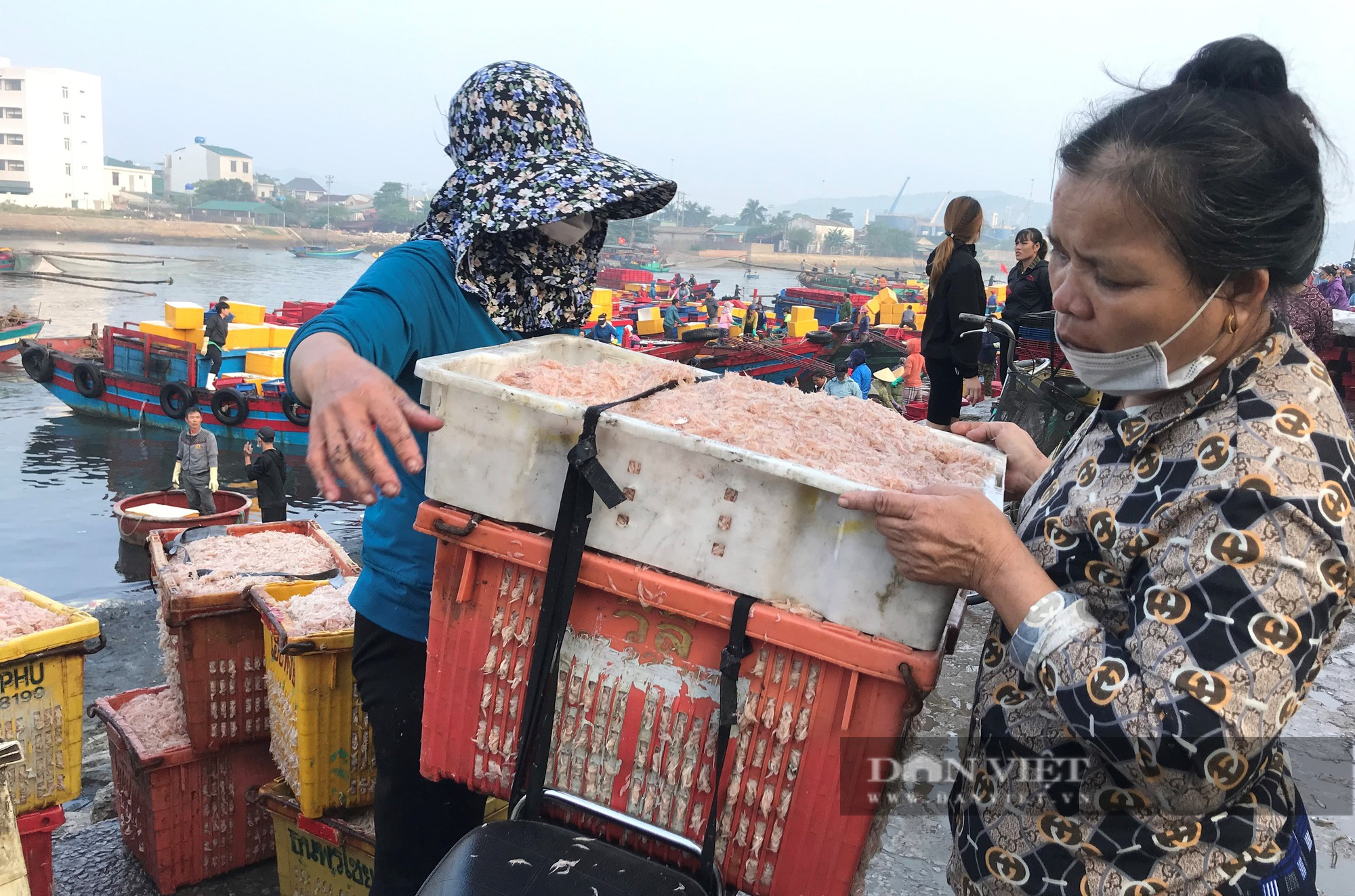 Cảnh những con thuyền đầy ắp ruốc biển cập bến, mỗi bình minh ngư dân kiếm hàng chục triệu đồng - Ảnh 22.