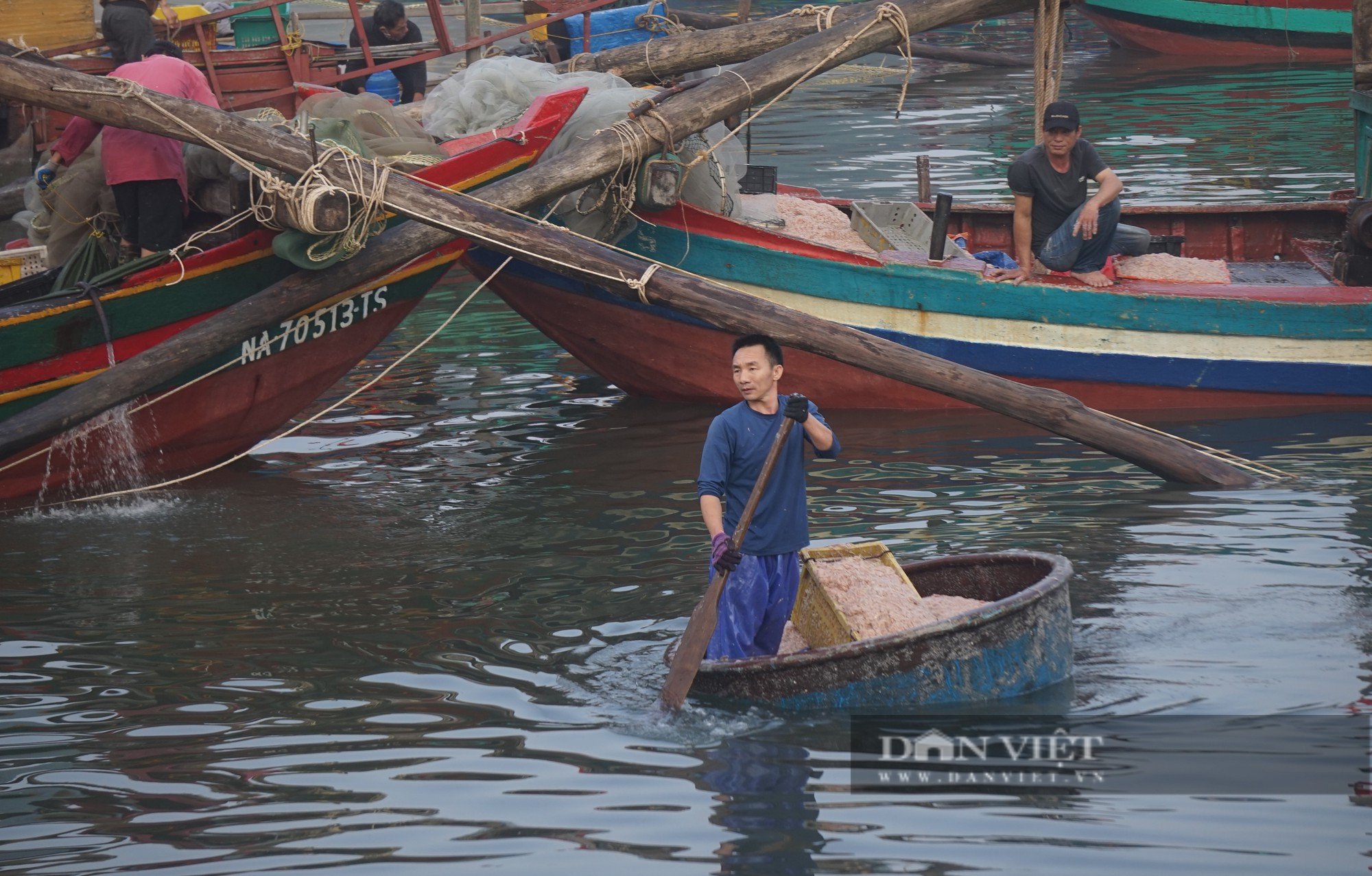 Cảnh những con thuyền đầy ắp ruốc biển cập bến, mỗi bình minh ngư dân kiếm hàng chục triệu đồng - Ảnh 10.
