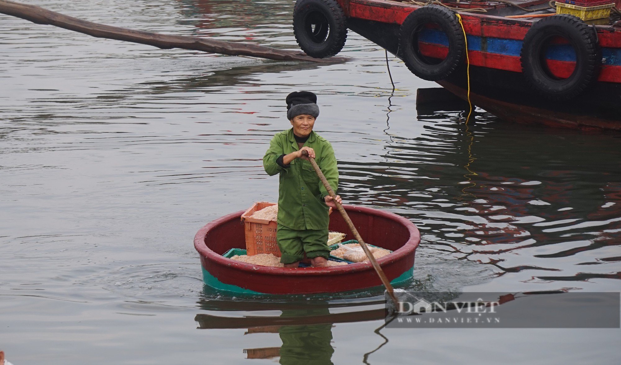 Cảnh những con thuyền đầy ắp ruốc biển cập bến, mỗi bình minh ngư dân kiếm hàng chục triệu đồng - Ảnh 7.