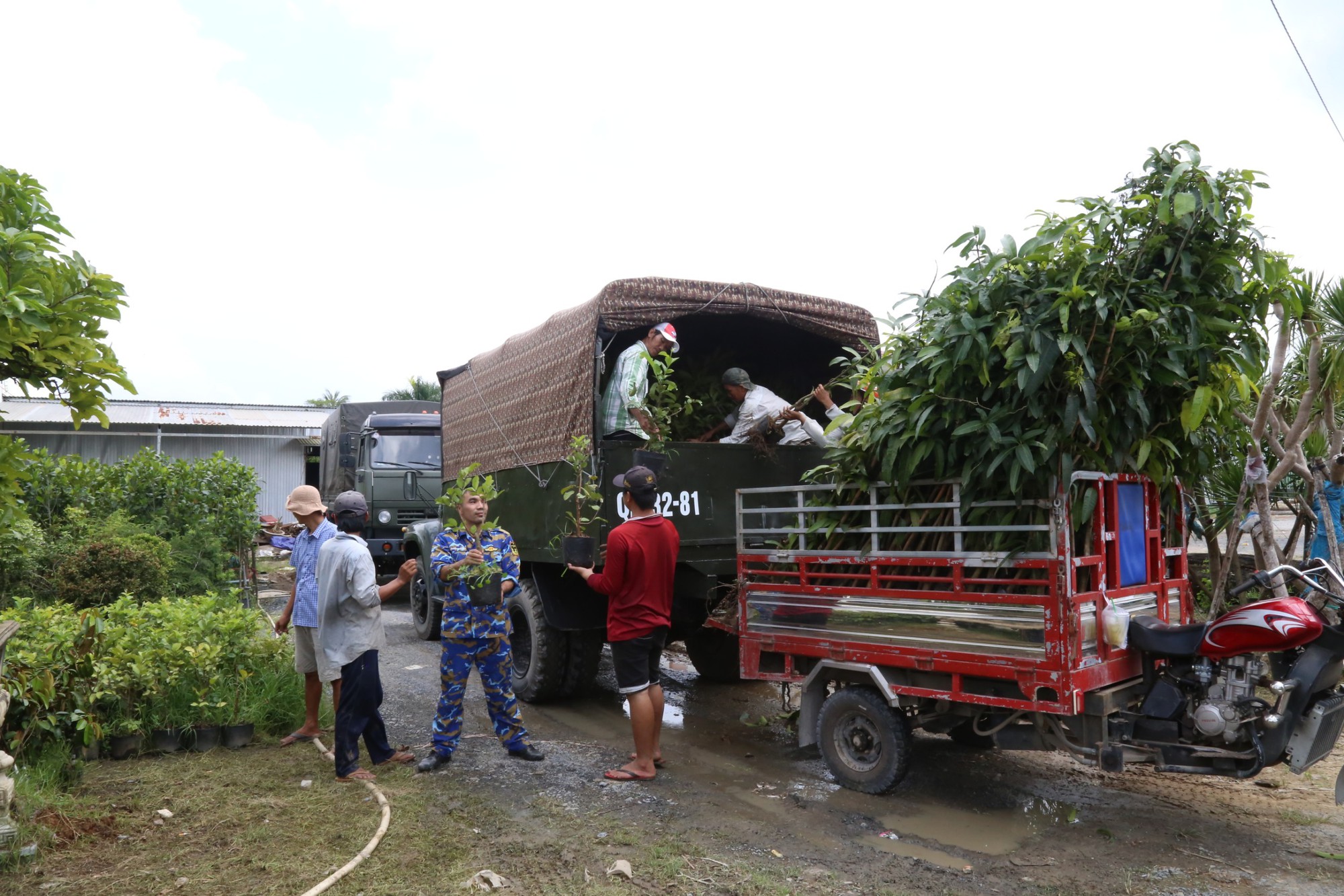 Vùng 4 Hải quân: Tiếp nhận 15.000 giống cây trồng - Ảnh 1. Vùng 4 Hải quân: Tiếp nhận 15.000 giống cây trồng - Ảnh 1.