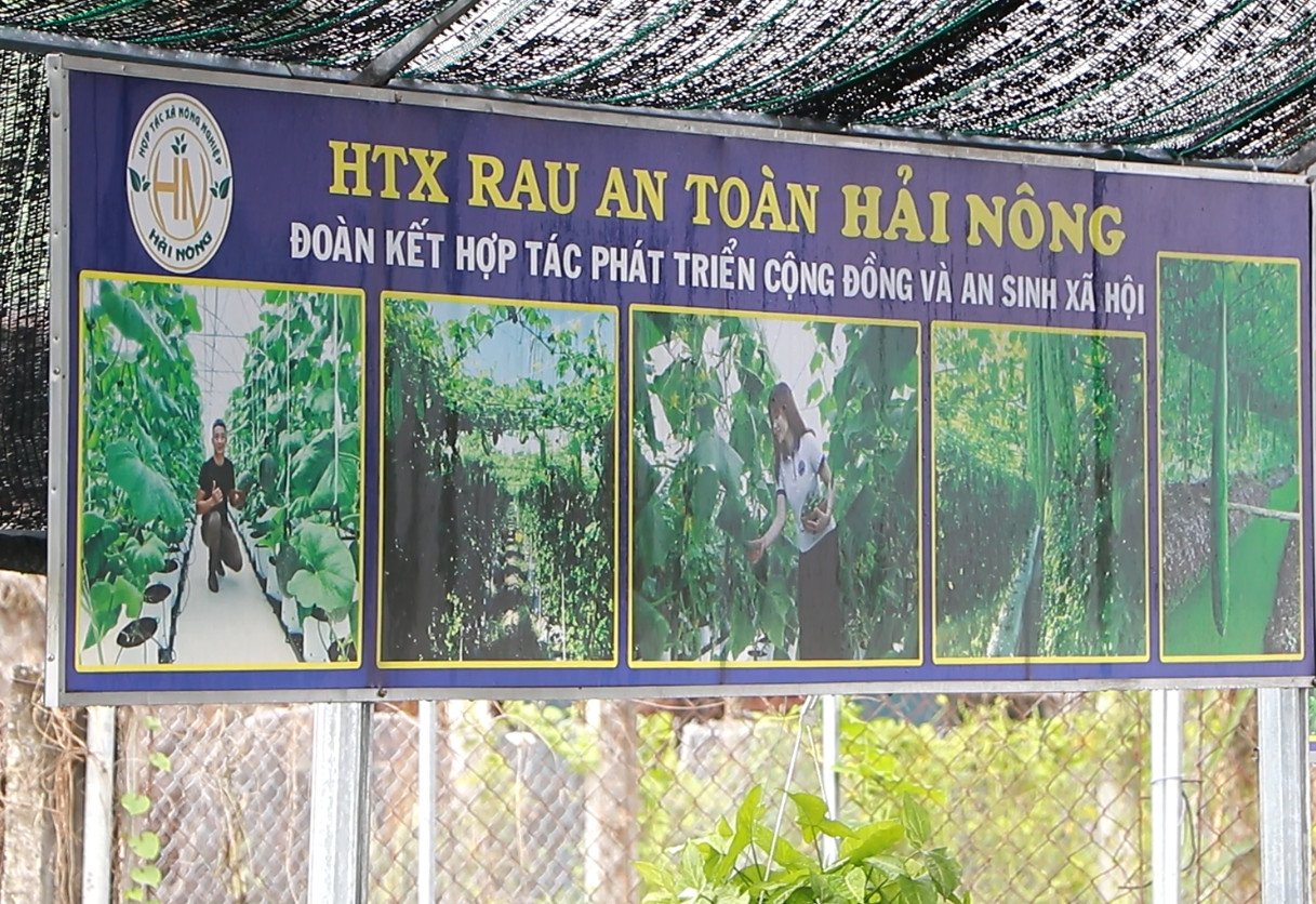TP.HCM: Phát triển kinh tế tập thể, tạo điều kiện chuyển dịch cơ cấu nông nghiệp đô thị - Ảnh 3.