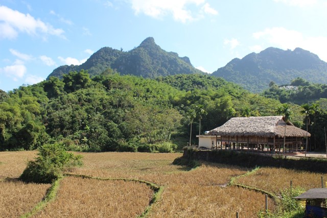 Bản Mường Giang Mỗ - Ảnh 3.