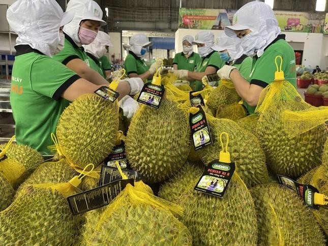 8 loại nông sản Việt giá trị tỷ USD xuất khẩu nhiều nhất sang Mỹ là những loại nào - Ảnh 3. 8 loại nông sản Việt giá trị tỷ USD xuất khẩu nhiều nhất sang Mỹ là những loại nào - Ảnh 3.