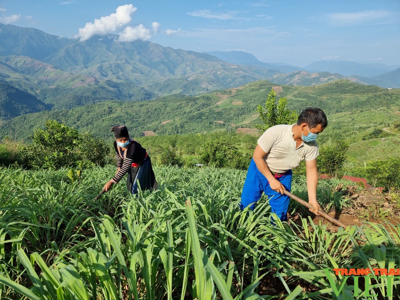 Lên cổng trời Tà Tổng nghe chuyện người Mông bỏ thuốc phiện - Ảnh 7. Lên cổng trời Tà Tổng nghe chuyện người Mông bỏ thuốc phiện - Ảnh 7.