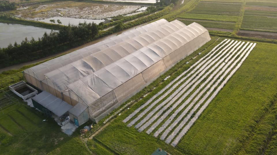 Chân dung cựu sinh viên ngành Kỹ thuật môi trường thành công trong sản xuất nông nghiệp thông minh - Ảnh 2.