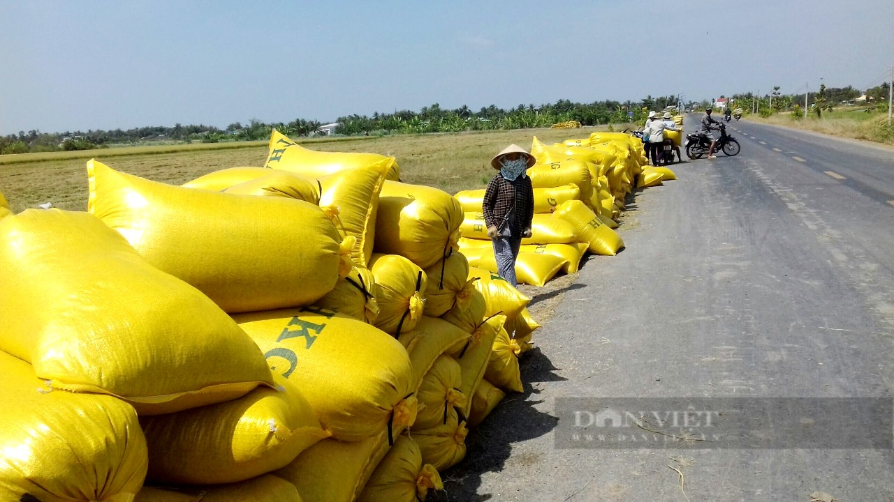 Liên kết trồng lúa đặc sản có một không hai, ông nông dân giúp “hai lúa” Tiền Giang khấm khá - Ảnh 5.