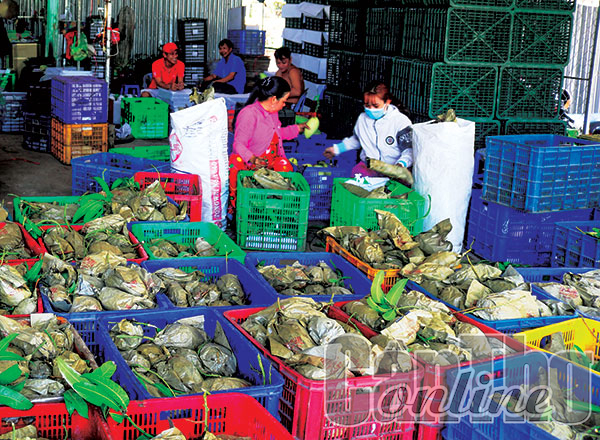 Sản lượng trái cây chủ lực ÐBSCL ước hơn 4,15 triệu tấn - Ảnh 1.
