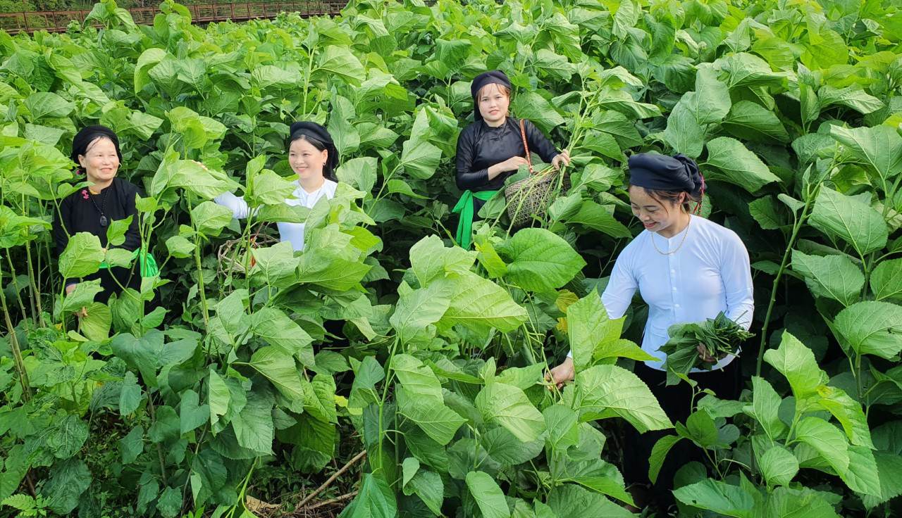 Đưa nông sản từ thâm sơn cùng cốc hội nhập quốc tế (Bài 3) - Ảnh 6.