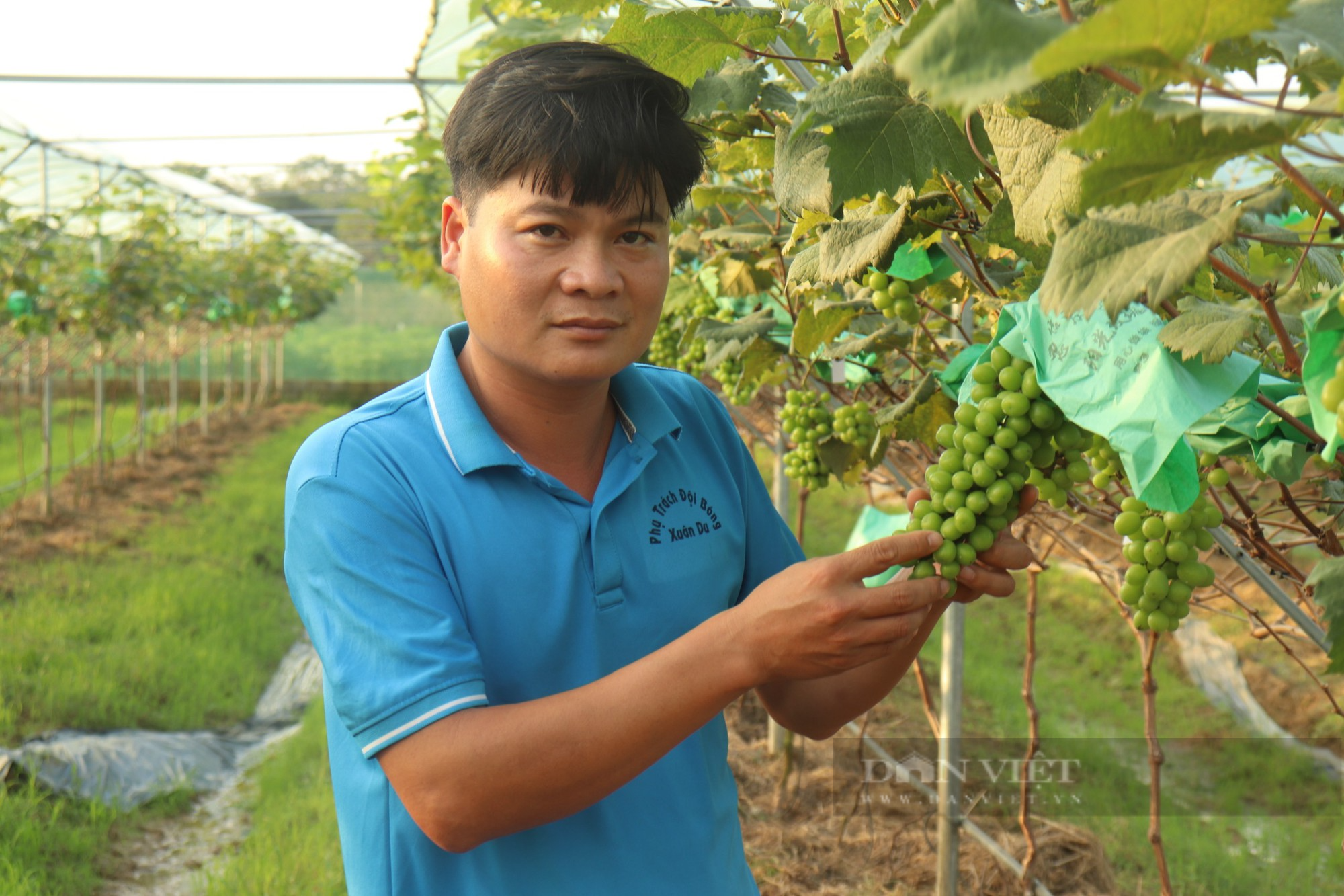 Mang cây đắt tiền lên núi trồng, anh nông dân bị cho là “gàn” nhưng sau đó khiến mọi người bất ngờ - Ảnh 1.