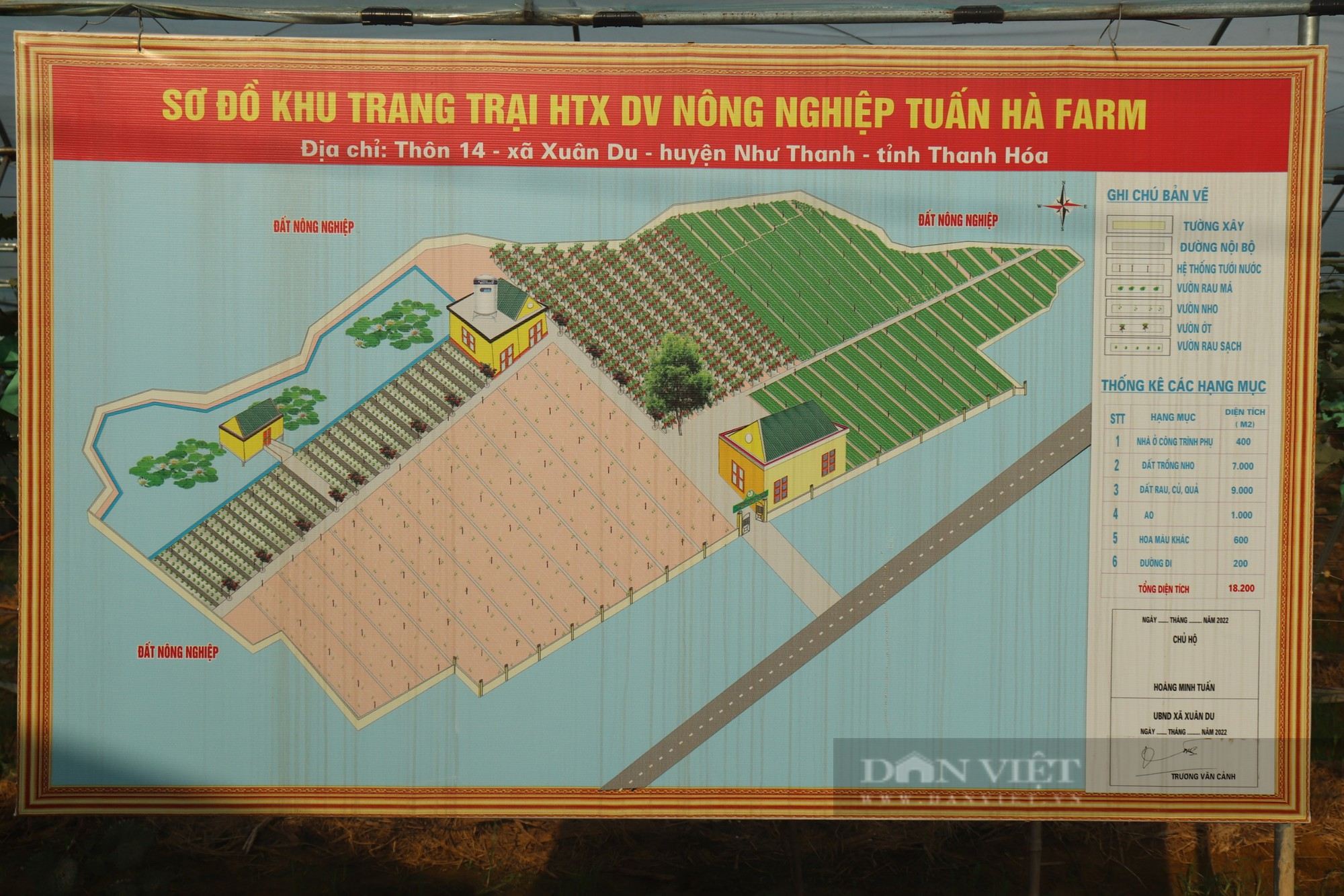 Mang cây đắt tiền lên núi trồng, anh nông dân bị cho là “gàn” nhưng sau đó khiến mọi người bất ngờ - Ảnh 5.