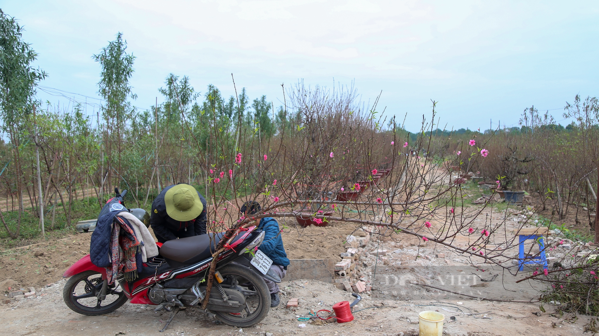 Đào Nhật Tân xuống phố được người dân săn đón về chơi Tết sớm - Ảnh 12.