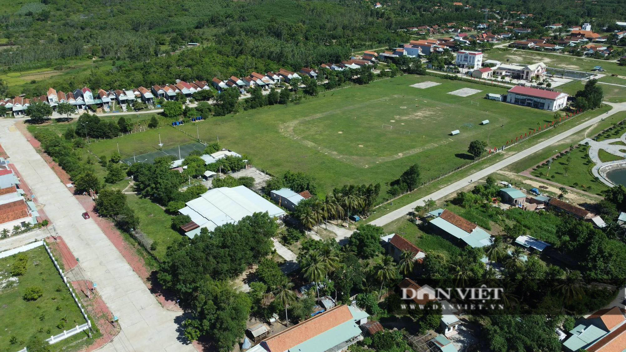 Chuyển công an điều tra vụ 138ha đất rừng phòng hộ của 3 cha con nguyên Bí thư huyện tại Bình Định - Ảnh 5.