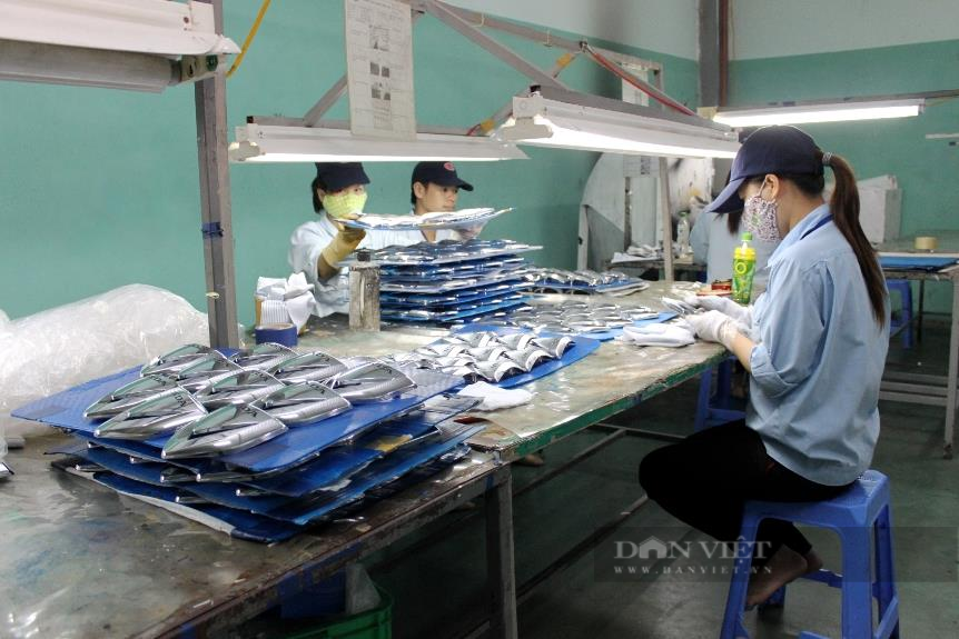 hỗ trợ tư vấn pháp lý cho lao động đi làm việc ngoài nước 