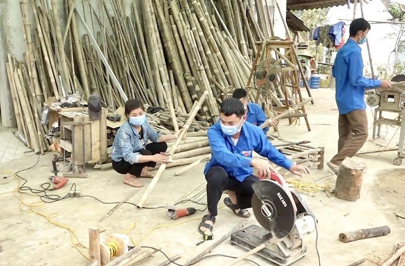 Tập trung xây dựng vùng nguyên liệu tre - Ảnh 1.
