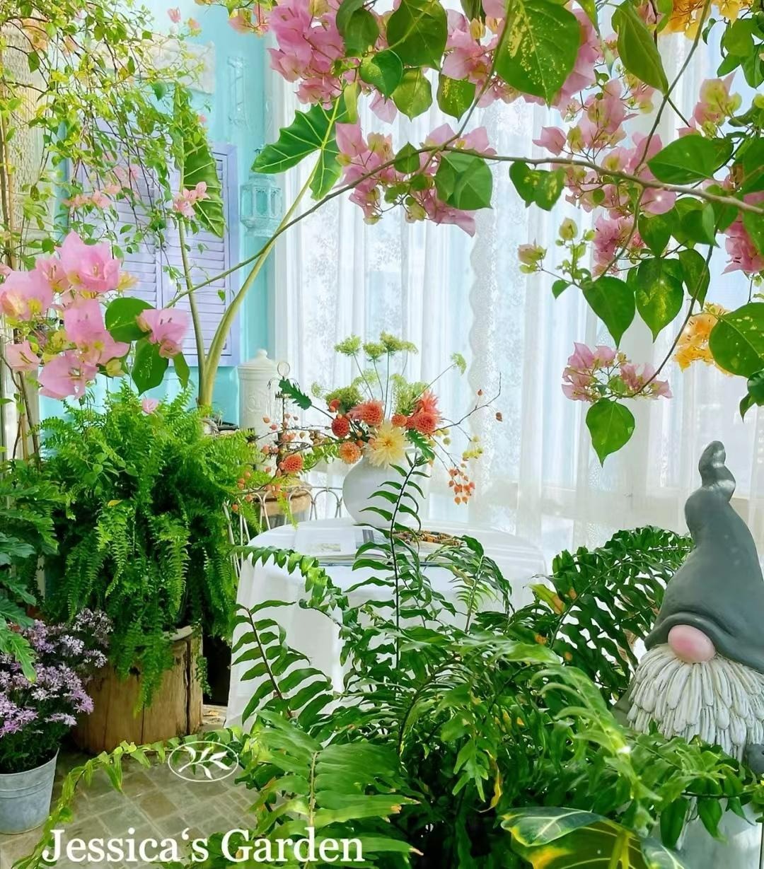 Cây cảnh trong nhà muốn xanh tốt bời bời cần chú ý điều này, bón phân không quá quan trọng đâu - Ảnh 3.