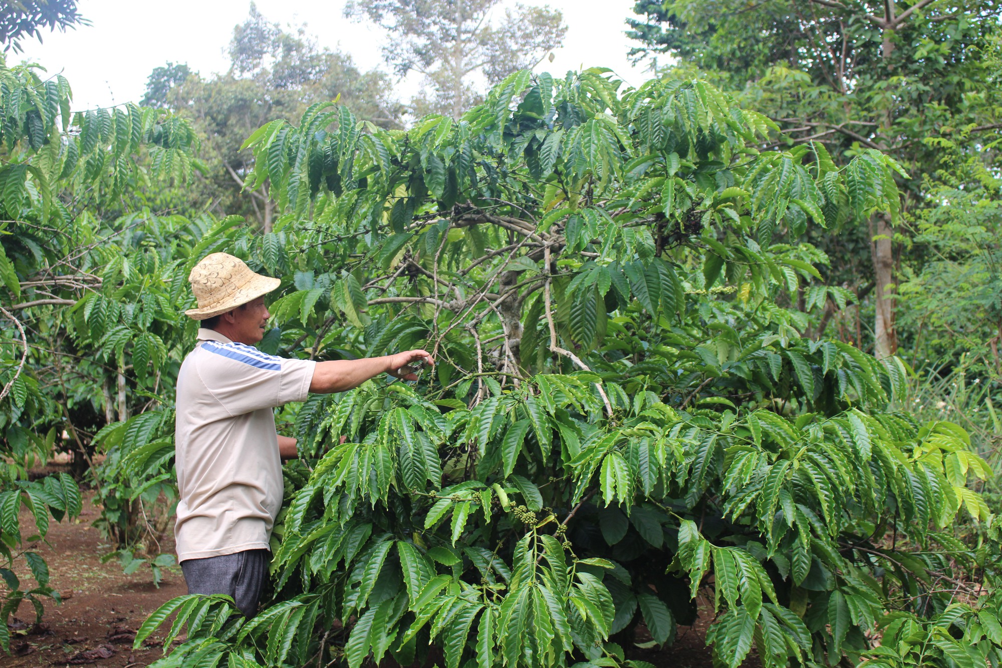 Những thương binh &quot;tàn nhưng không phế&quot; - Ảnh 3.