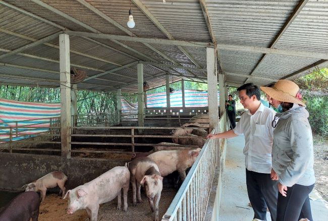 TT-Huế: Các mô hình của nông dân tỷ phú giải quyết việc làm cho hơn 35.000 lao động  - Ảnh 2.